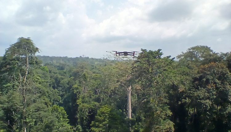 DJI Mavic Mini : le drone qu&rsquo;on emporte partout